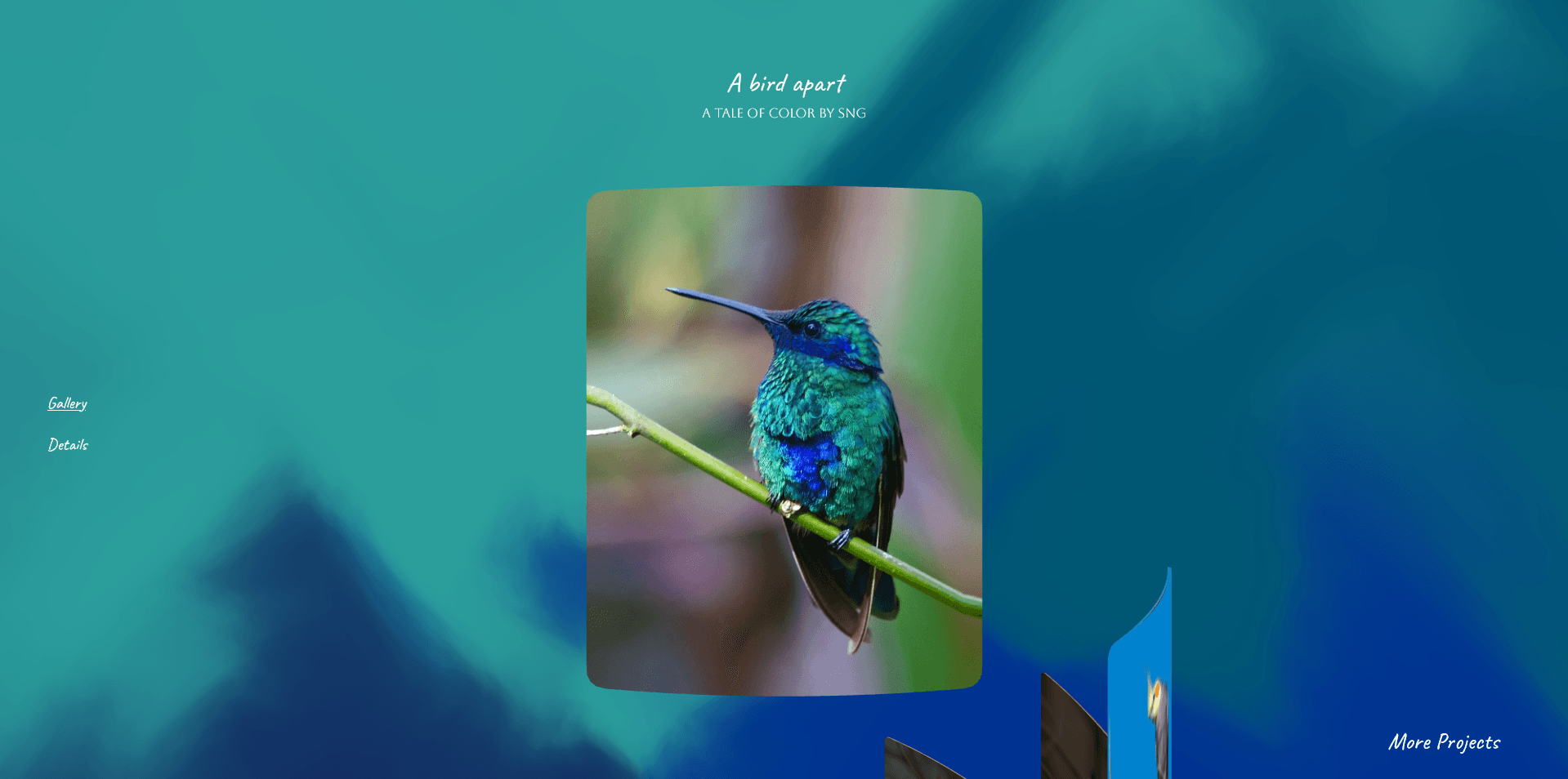 /bird.png